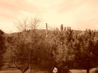 /album/la-bobila-de-viladecans/eferctos-bobila-2-jpg/